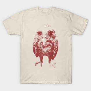 Wet owl shirt, Retro Cartoon T Shirt, Weird T Shirt, Meme T-Shirt